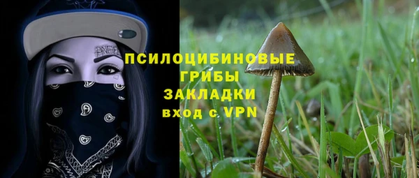 прущая мука Пестово